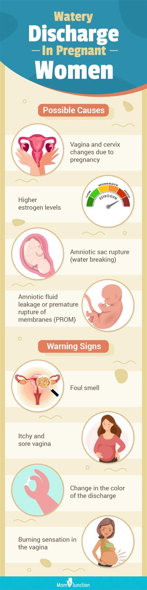 pregnant leaking fluid|Watery Discharge During Pregnancy